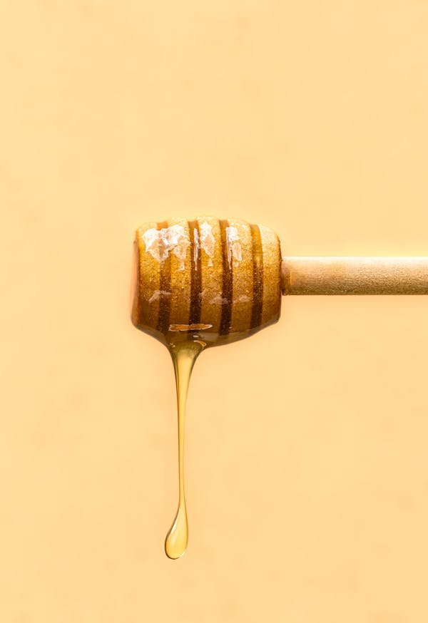 Miel de châtaignier : un élixir des vosges à savourer